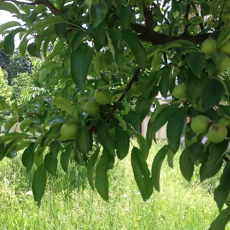 Park جرين بارك ホテル