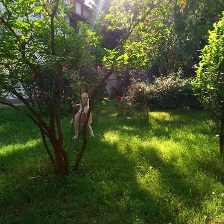 Park جرين بارك ホテル