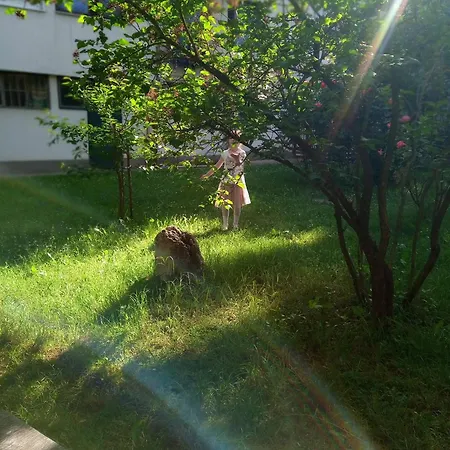 Park جرين بارك * Ilidža